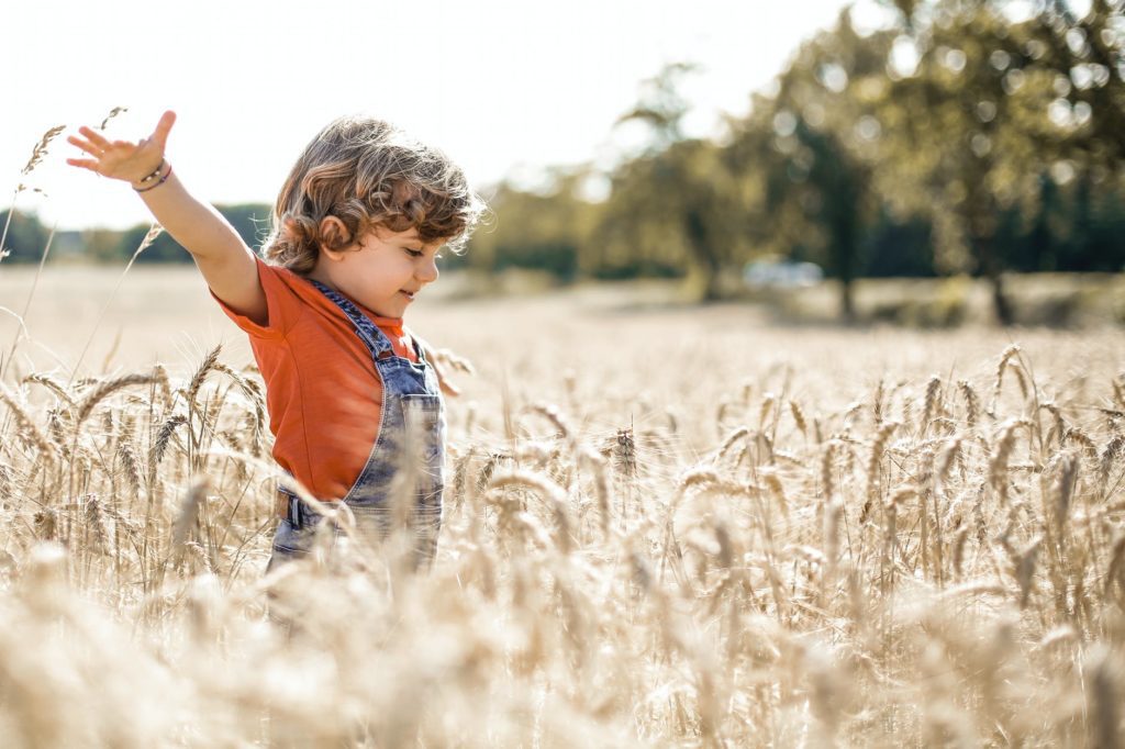 healthy living solutions little boy in wheat field 
